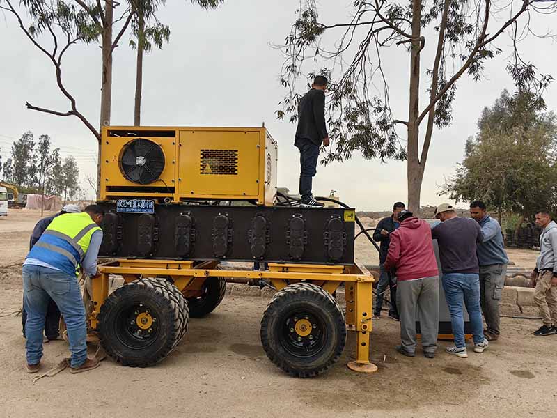 La máquina peladora de hojas de arbustos llega a Egipto y supera las expectativas con resultados excepcionales